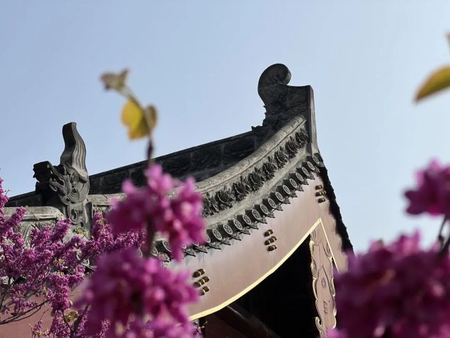 「佛教」南岳怀让度马祖