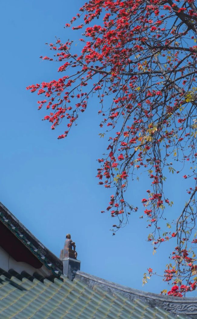 「佛教」光孝寺故事：王园虞苑化祇园