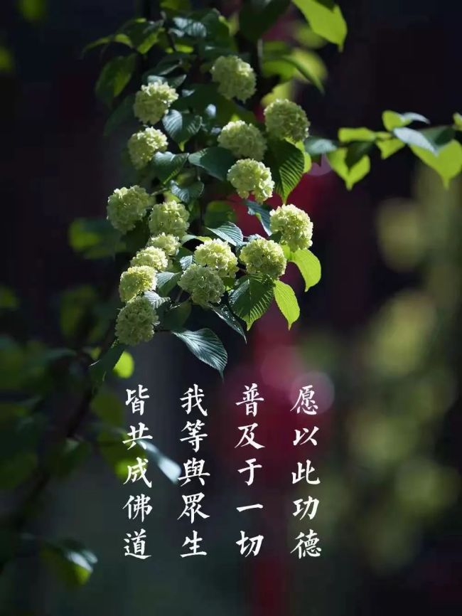 「佛教」百喻经故事——山羌偷官库