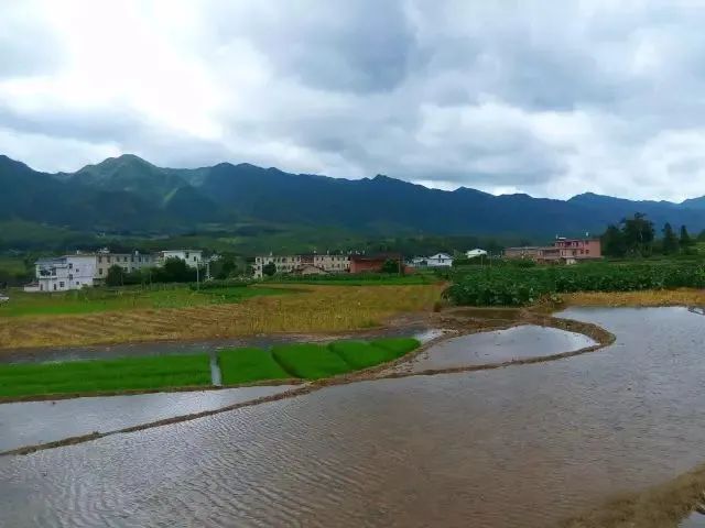 「佛教」“汀州温氏子”慧明法师
