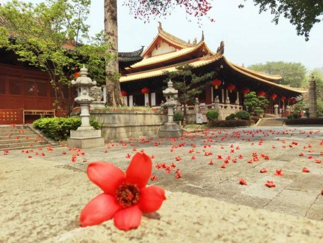 「佛教」光孝寺故事：王园虞苑化祇园