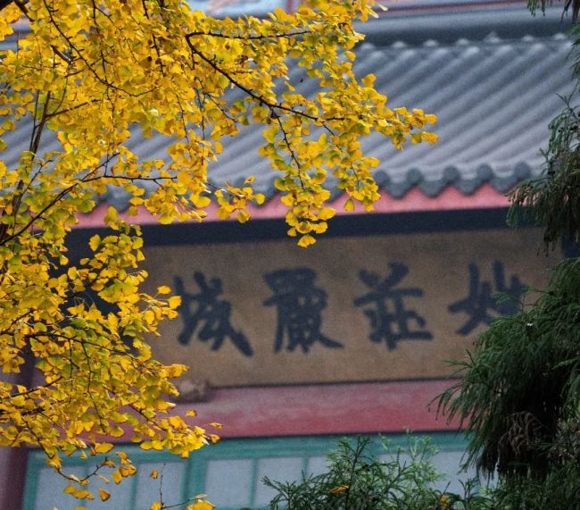 「佛教」佛陀的广长舌相