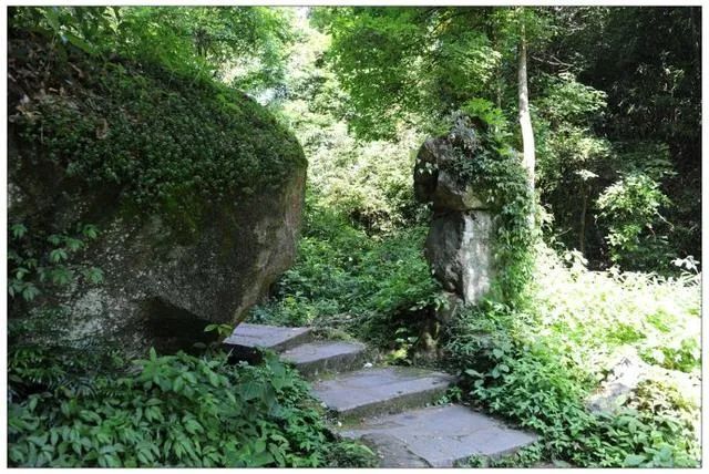 「佛教」云居禅师“爬山”的公案