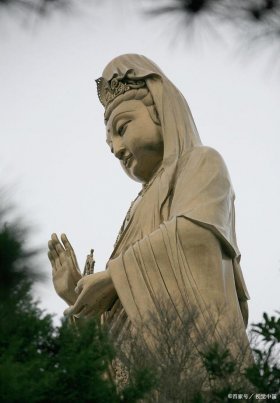 禅定 - 禅定手印