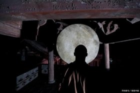 一句禅语道尽人生，一句佛语点透人生