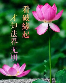 一句禅语道尽人生简短，万法唯心造,诸相由心生