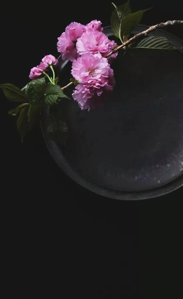 一句禅语道尽人生图片，一叶一菩提禅意图片