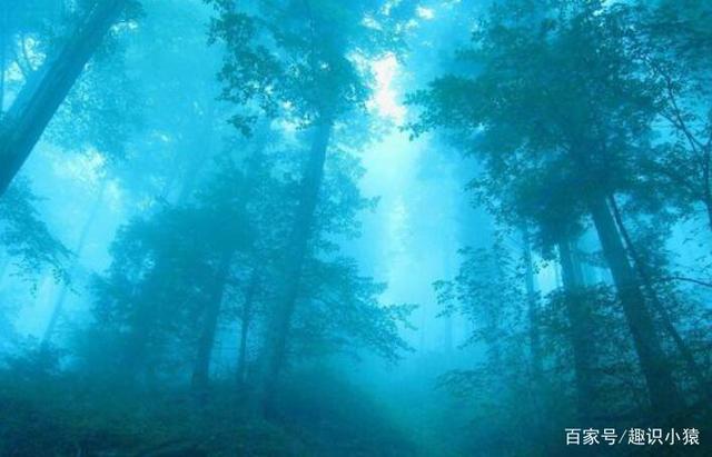 8个梦境证明你有前世，怎么知道自己前世是谁